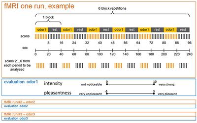 The Rewarding Effect of Pictures with Positive Emotional Connotation upon Perception and Processing of Pleasant Odors—An FMRI Study